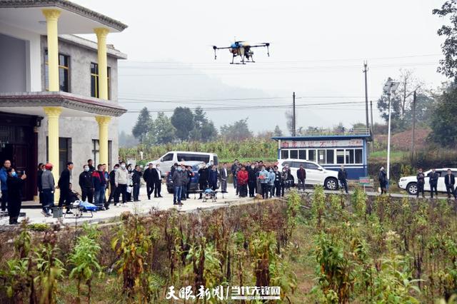 1610344031100833.jpg 1.jpg