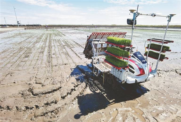 1621216762214402.jpg 2ffc-kpzzqna7356852.jpg