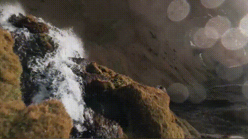 1624412625177331.png 圖片2.png