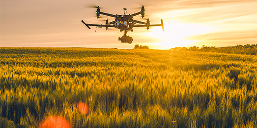 1628130429142781.jpg 未標(biāo)題-3.jpg